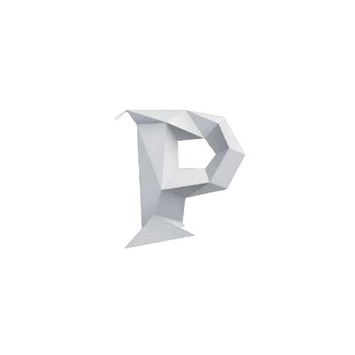 Polynetics Logo